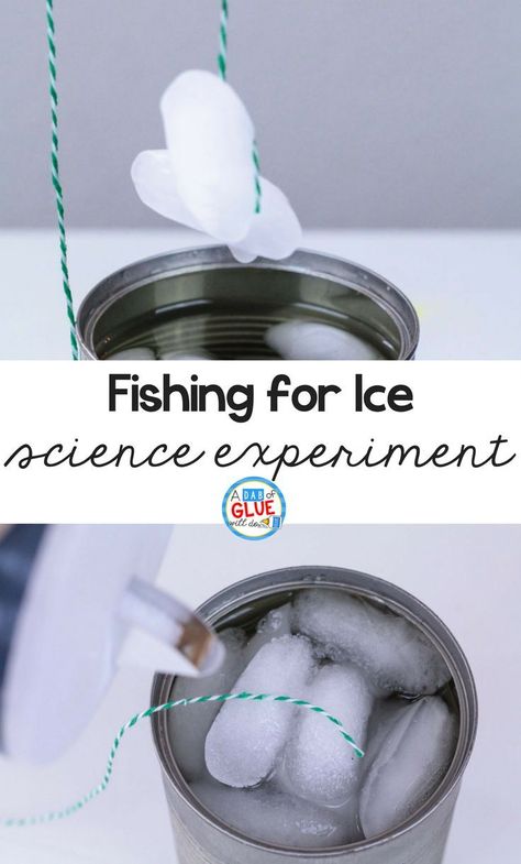 Stem Activities Kindergarten, Winter Stem Activities, Winter Stem, Science Experiment For Kids, Winter Science, Experiment For Kids, Matter Science, Stem Activity, Winter Activities For Kids