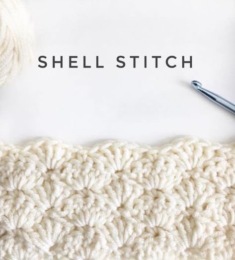 Crochet Shell Blanket, Crochet Shell Pattern, Picot Crochet, Daisy Farm, Easy Crochet Baby Blanket, Crochet Shell Stitch, Crochet Stitches For Blankets, Crochet For Beginners Blanket, Easy Crochet Baby