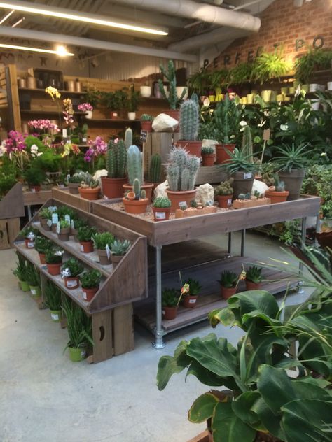 Notcutts - Pembury - Garden Centre - D&P - Lifestyle - Layout - Customer Journey - Landscape - Visual Merchandising - www.clearretailgroup.eu Garden Center Displays, Flower Shop Design, Luxury Garden Furniture, Meteor Garden 2018, Garden Tool Storage, Magic Garden, Luxury Garden, Patio Diy, Center Ideas