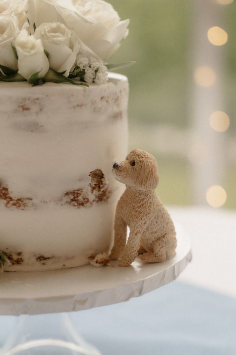 Clever way to incorporate your pet on your wedding day! Dog Figure Eating Wedding Cake, Pet Wedding Cake Toppers, Dog Eating Wedding Cake Topper, Dog Figurine Wedding Cake, Golden Doodle Wedding Cake Topper, Wedding Cake Pet, Dogs On Wedding Cake, Small Wedding Cake With Dog, Simple Wedding Cake With Dog