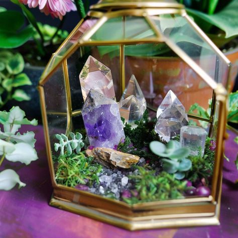 20 Genius Ways to Decorate With Crystals Rock Display Case Ideas, Rock Centerpieces Stones, Terrarium Ideas Crystals, Rock Centerpieces, Crystal Display Ideas Diy, Decorate With Crystals, Decorating With Crystals, Crystal Terrarium Diy, Different Types Of Crystals