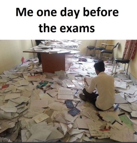 50 HOT NOVEMBER MEMES #183 – Funnyfoto | Funny Pictures - Videos - Gifs - Page 13 School Thoughts, Exams Memes, Studying Memes, Exams Funny, Very Funny Memes, Exam Quotes Funny, School Quotes Funny, Funny School Jokes, Pre Med