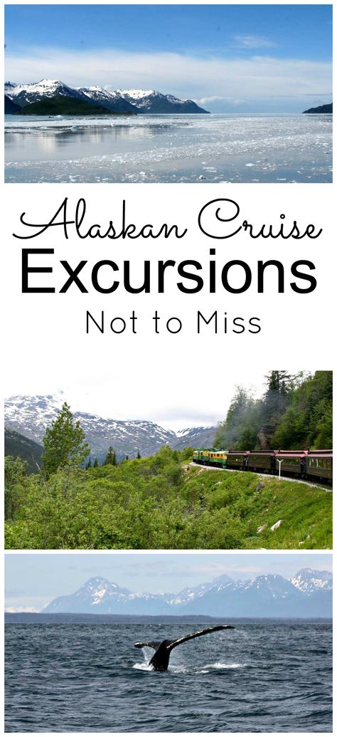 Alaskan Cruise Excursions, Alaska Cruise Excursions, Alaska Travel Cruise, Alaskan Cruise Outfits, Alaska Cruise Tips, Alaska Cruises, Cruise To Alaska, Singles Cruise, North To Alaska