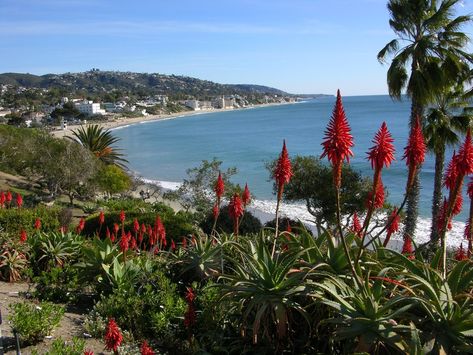 15 Best Things To Do In Laguna Niguel, CA | Trip101 Laguna Beach Tide Pools, Laguna Niguel California, Napa Valley Vineyards, California Trip, Newport Beach California, Orange City, Laguna Niguel, Marine Conservation, Art Walk