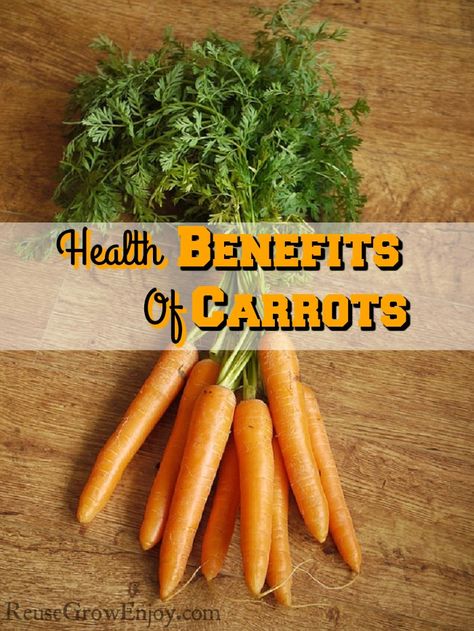 Do you love crunching on carrots? Did you know they are a super healthy power food? Check out the Health Benefits Of Carrots! http://reusegrowenjoy.com/health-benefits-of-carrots/ Carrots Benefits, Benefits Of Carrots, Health Benefits Of Carrots, Carrot Benefits, Frugal Gardening, Eating Carrots, Growing Carrots, Vegetable Benefits, Low Carb Vegetables