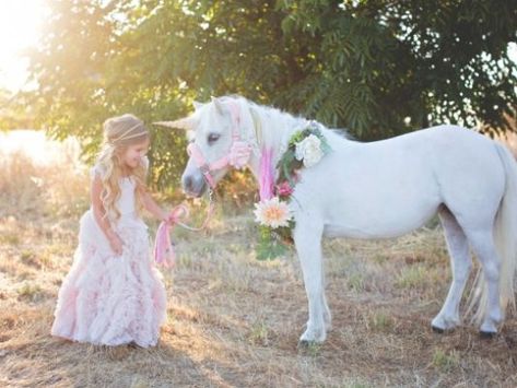 Unicorn Photos, Horse Camp, Horse Costumes, Unicorn Pictures, Show Horse, Highway Patrol, Pony Rides, Unicorn Horse, Horse Crafts