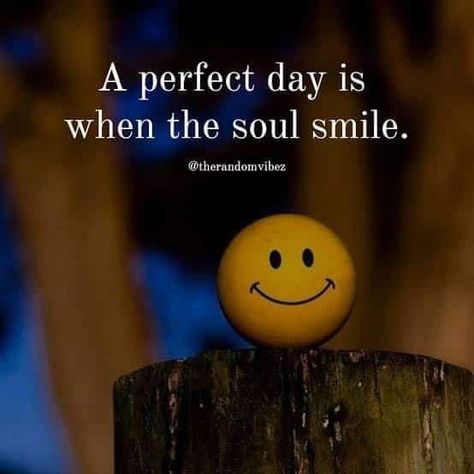 A perfect day is when the soul smile life quotes quotes life happiness quotes positivity quotes soul quotes Smile And Kindness Quotes, Start Your Day With A Smile, Smile Quotes Happy Beautiful, Beautiful Smile Quotes Inspirational, Happy Day Quotes Smile, Spread Happiness Quotes, Smile Qoutes, Smile Quotes Happy, Smile Quotes Inspirational