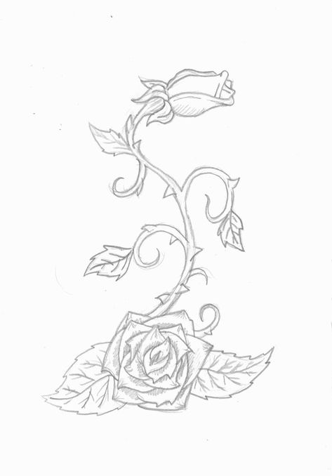 Rose and vine Rose Thorn Tattoo, Rose Vine Tattoos, Thorn Tattoo, Vine Drawing, Vine Tattoo, Flower Tattoo Drawings, Flowers Paintings, Rose Vine, Concert Fit