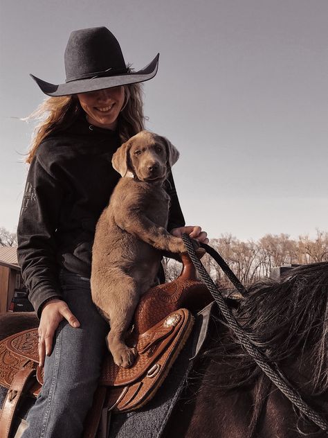 Dogs And Horses, Heartland Aesthetic, Horse And Rider Photography, Cowgirl Core, Claudia Lars, Foto Cowgirl, Cowgirl Pictures, Cute Horse Pictures, Baby Farm Animals