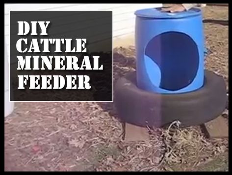 DIY Cattle Mineral Feeder - an affordable way to feed your cattle the minerals they require... #cattle #cows #diy #livestock Diy Cattle Feeder, Mineral Feeders For Cattle, Cow Feeder, Cattle Feeder, Homestead Lifestyle, Cow Stuff, Hobby Farming, Chicken Tractors, Diy Entertainment