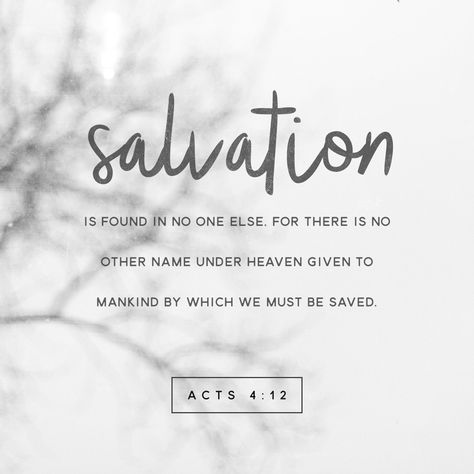 Salvation is found in no one else, for there is no other name under heaven given to mankind by which we must be saved. Acts 4 12, Acts Of The Apostles, Bible Challenge, Soli Deo Gloria, Verse Of The Day, Daily Devotional, Verse Quotes, Bible Verses Quotes, Bible Scriptures