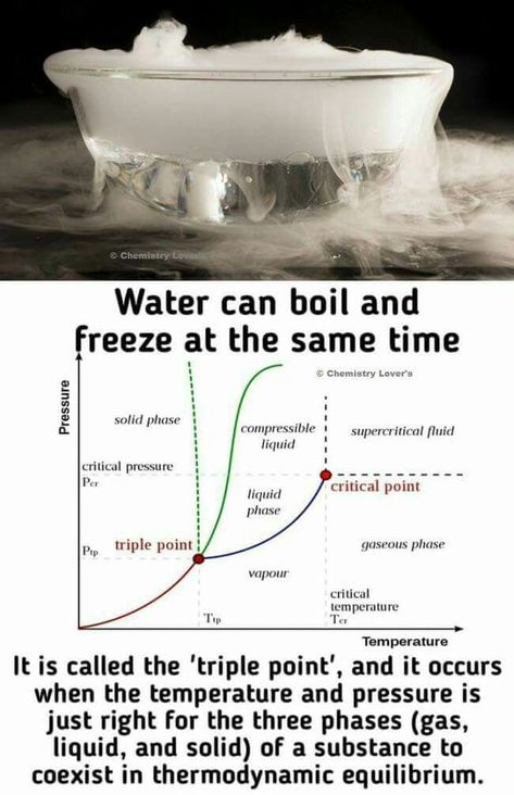 Interesting Chemistry Facts, Thermodynamics Chemistry, Chemistry Facts, Quantum Chemistry, Chemistry Basics, Learn Physics, Study Chemistry, Basic Physics, Chemistry Education