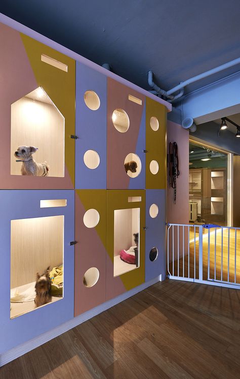 Image 2 of 10 from gallery of Petaholic Hotel / sms design. Courtesy of SMS Design Pet Hotel Design, Dog Daycare Business, Hotel Pet, Pet Store Design, Dog Boarding Facility, Pet Store Ideas, Dog Boarding Kennels, Dog Spa, Cat Hotel