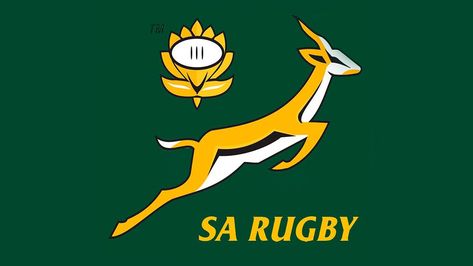 Most black South Africans oppose sport quotas – survey Springbok Logo, Rugby Images, Rugby Photography, Rugby Party, African Jokes, Rugby Logo, Paw Patrol Birthday Theme, Springbok Rugby, Rugby World Cup 2023