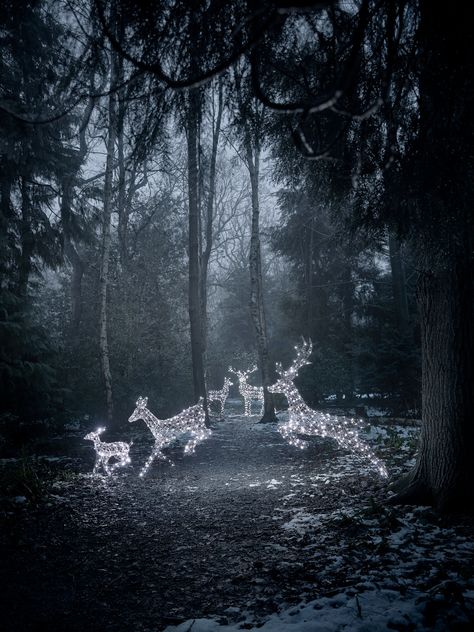 Reindeer Figure, Stag And Doe, Christmas Yard, Christmas Garden, Outdoor Christmas Lights, Christmas Deer, Christmas Aesthetic, Landscape Lighting, Outdoor Christmas Decorations