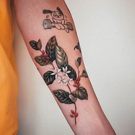 Coffee Plant Tattoo, Plant Tattoo Ideas, Tattoo Cafe, Full Tattoo, Torso Tattoos, Coffee Tattoos, Plant Tattoo, Coffee Flower, Coffee Plant