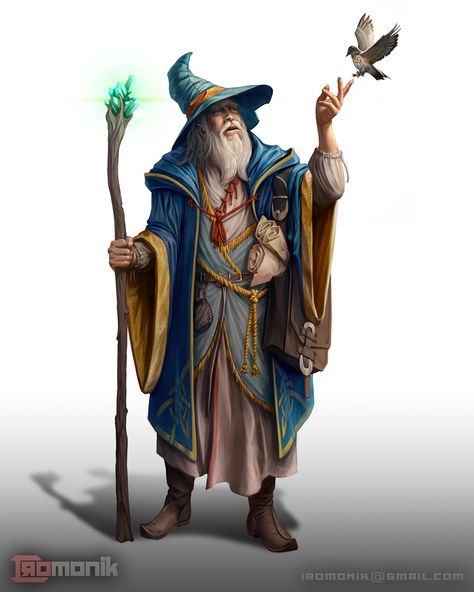 Wizard Character Art, Wizard Character, Old Wizard, Dnd Wizard, D D Character Ideas, Fantasy Wizard, Figure Drawing Reference, Character Wallpaper, Arte Fantasy