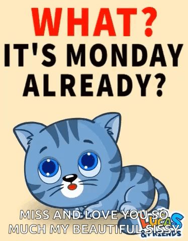 Monday Monday Mood GIF - Monday Monday mood Monday morning - Discover & Share GIFs Monday Morning Gif, Mood Gif, Monday Monday, Good Morning My Friend, Happy New Year Pictures, Purple Mattress, Morning Monday, Weekday Quotes, Monday Mood