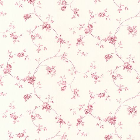 Rose Cream, Cream Wallpaper, Roses Drawing, Wallpaper Pink, Pink Ivory, Pretty Roses, Cream Roses, Rose Wallpaper, Accent Wallpaper