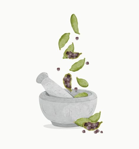 Indian Spices Illustration, Cardamom Illustration, Plants Activity, Spices Illustration, Hoodie Art, Shop Painting, Logo Online Shop, Green Cardamom, Furniture Design Sketches