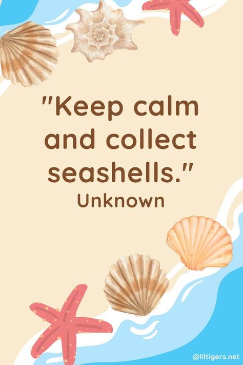 100 Best Seashell Quotes for Kids - Lil Tigers Seashell Quotes, Seashells Quote, Quotes For Kids, Finding Peace, Love Letters, Puns, Tigers, Sea Shells, The 100