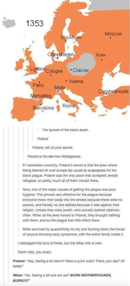 Poland and the black plague Funny Tumblr, History Nerd, History Humor, Funny Tumblr Posts, Memes Humor, Interesting History, Different Countries, History Facts, Tumblr Posts