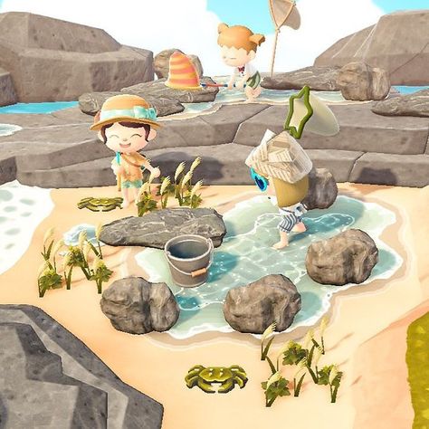 Friends Playing, Acnh Cottagecore, Animal Crossing Wild World, Theme Nature, Deco Nature, New Animal Crossing, Beach Rocks, Animal Crossing Game, Some Friends