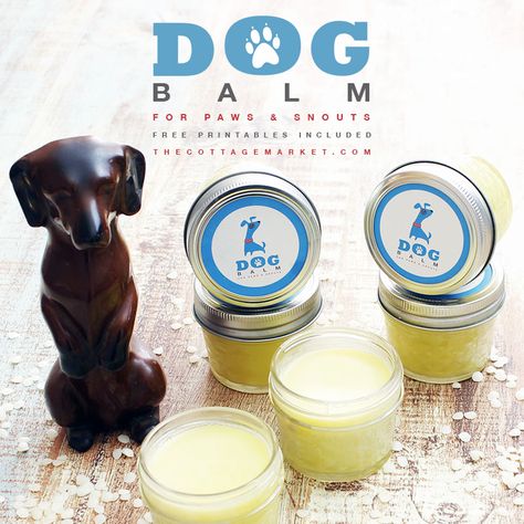 DIY Dog Balm - The Cottage Market Dog Balm For Paws, Dog Balm, Dog Paw Balm, Rich Dog, Dogs Paws, Dogs Diy Projects, Background Grey, Mason Jars Labels, Paw Balm