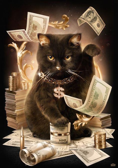 Money Cat, Lucky Wallpaper, Silly Cats, Black Cats, Cat Art, Lei, Black Cat, Affirmations, Vision Board