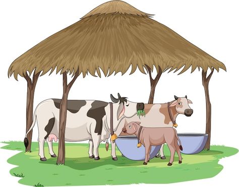 Vector vector illustration showing cows ... | Premium Vector #Freepik #vector #cow #cow-farm #cattle #farmer-cartoon Indian Farm Illustration, Pictures Of Farms, Cow Images Indian, Cow House Farms, Cows Cartoon, Cow Shelter, Farmer Cartoon, Cow Cartoon Images, Images Of Cows