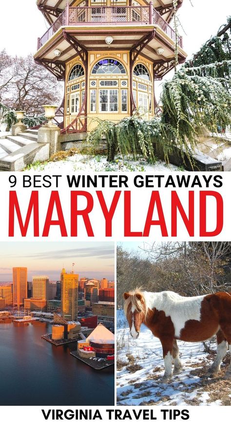 Things To Do In Maryland In Winter, Maryland Vacation Ideas, Maryland Travel Places To Visit, Dc In Winter, Places To Visit In Maryland, Things To Do In Maryland, Saint Michaels Maryland, Winter Places, Maryland Travel