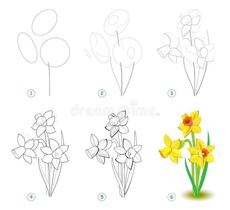 Narcissus Drawing, Flower Narcissus, Draw Step By Step, Flower Step By Step, Draw Flowers, Narcissus Flower, How To Draw Steps, Drawing Step By Step, Flower Drawing Tutorials