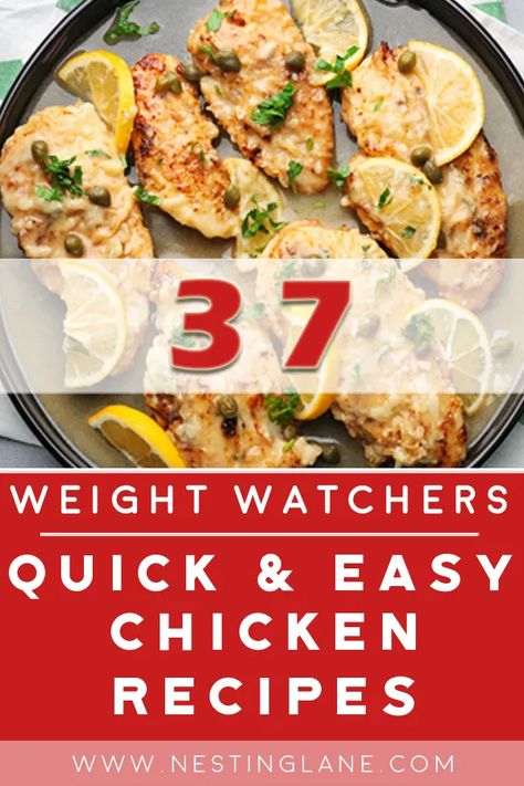 Weight Watchers Chicken Breast, Weight Watchers Meals Dinner, Chicken Boneless Breast Recipes, Chicken Broth Recipes, Greek Lemon Chicken Soup, Chicken Recipes Easy Quick, Low Calorie Chicken, Easy Skillet Meals, Fast Dinner