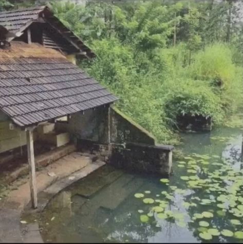 Desi Cottagecore, Indian Scenery, Indian Nature, Pools Ideas, Kerala Photography, Kerala Traditional House, Kerala Architecture, Landscaping Layout, Kerala Travel