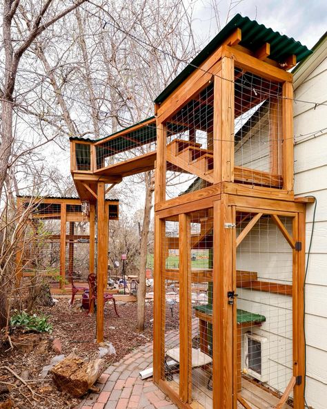 #catio #catpatio #outdoorenclosure #catios #outdoorcathouse #cathouse #cats_of_world Cat Tunnel Outdoor, Outdoor Cat Tunnel, Outdoor Cat Tree, Heated Cat House, Feral Cat Shelter, Cat Company, Cat Bedroom, Pet Boarding, Cat Tunnel