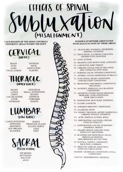 Chiropractic works to relieve pressure on your nervous system by realigning your spine. This helps address symptoms and improve your health and wellbeing. Chiropractor Adjustment, Chiropractic Assistant, Chiropractic Benefits, Medical Terminology Study, Benefits Of Chiropractic Care, Chronic Cough, Basic Anatomy And Physiology, Spinal Nerve, Family Chiropractic