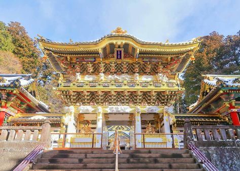 ©  Visit Nikko , Toshogu Shrine Toshogu Shrine, Natural Science Museum, Japanese Countryside, Day Trips From Tokyo, Traditional Japanese Architecture, Himeji Castle, Traditional Japanese House, Shinto Shrine, Japanese Architecture