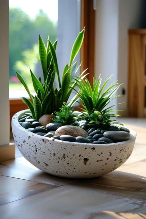 Small Garden Ideas Diy, Small Garden Landscaping Ideas, Small Garden Landscaping, Indoor Plant Ideas, Kaktus Dan Sukulen, Potted Plants Outdoor, Modern Backyard Landscaping, Front Garden Design, Succulent Garden Diy