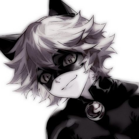 Miraculous Ladybug Chat Noir, Ladybug Und Cat Noir, Darwin's Game, Miraculous Ladybug Oc, Miraculous Ladybug Wallpaper, Ladybug Anime, Miraculous Ladybug Fanfiction, Super Cat, Miraculous Characters