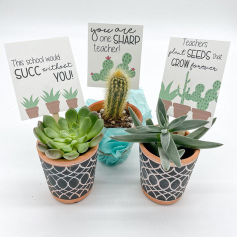 Teacher appreciation plant gifts with printables Plant Teacher Appreciation Gifts, Plant Teacher Gift, Teacher Plant Gift Ideas, Succulents For Teacher Appreciation, Teacher Appreciation Plant Gifts, Teacher Plant Gift, Teacher Appreciation Plant, Teacher Gift Plant Free Printable, Succulent Teacher Gift