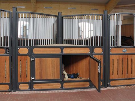 Equestrian Stables, Barn Layout, Stall Fronts, Horse Barn Ideas Stables, Barn Stalls, Horse Barn Designs, Dream Stables, Dream Horse Barns, Horse Barn Plans