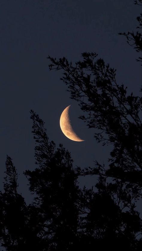 Object Of Desire, Moonbin Astro, Night Sky Moon, Moonlight Photography, Sky Gif, Blue Moon Photography, Desain Quilling, Night Sky Photography, Look At The Moon