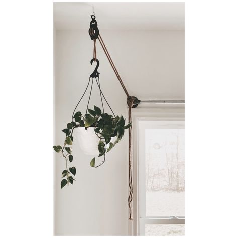 Pully Plant Hanger, Pulley System For Plants, Plant Pulley System, Hanging Plant Pulley System, Antique Pulley Plant Hanger, Pully System, Ceiling Plant Hanger Rope, Hanging Indoor Plants, Crockery Unit Design