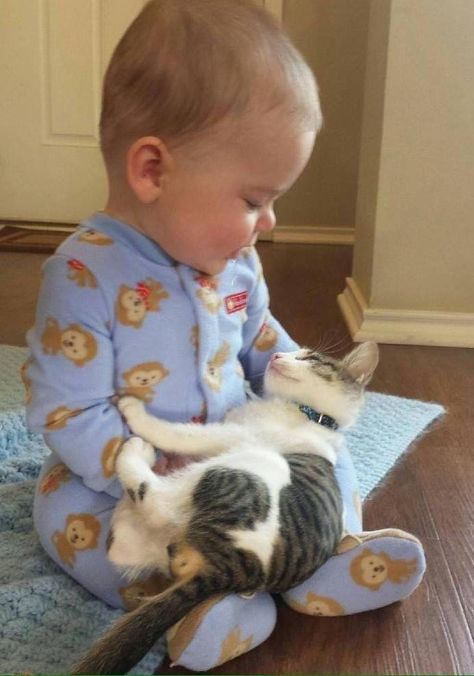 Cats With Babies: Wholesome Collection Of Cats Being Friends With Small Humans (24 Pictures) Step Dance, Söt Katt, Jazz Dance, Beanie Babies, Cute Kittens, Sweet Animals, On The Floor, Dance Moms, Dance Choreography