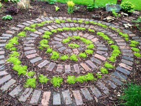 Scotch moss and brick swirl patio | Garden--My Garden | Pinterest ... Labyrinth Ideas, Rock Pathways, Garden Labyrinth, Witches Circle, Circle Garden, Garden Spiral, Labyrinth Garden, Rock Pathway, Spiral Garden