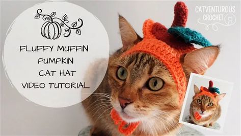 Pumpkin Cat Hat Crochet, Free Cat Hat Pattern Crochet, Crochet Pumpkin Cat Hat Pattern Free, Crochet Pumpkin Hat For Cat, Crochet Hat For Cat, Muffin Pumpkin, Cat Hat Crochet, Pumpkin Hat Pattern, Free Crochet Hat Patterns