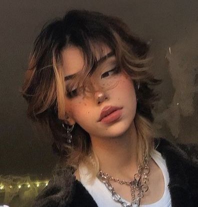 Shaggy Female Mullet, Short And Choppy Hairstyles, Goth Aesthetic Hairstyle, Short Haircuts With Highlights Brunettes, Stargirl Haircut, Died Wolfcut Hair, Alt Haircuts Round Face, Hair Inspiration For Round Face, Cute Grunge Haircuts