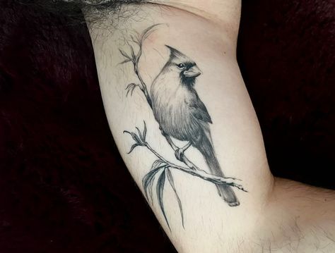 fully healed cardinal, one of my favs! would love to do more bird tattoos 🖤 Cardinal Tattoo Black And White, Black And White Cardinal Tattoo, Cardinals Tattoo, Cardinal Tattoo, Cardinal Tattoos, Branch Tattoo, Bird Tattoos, White Tattoo, Birds Tattoo