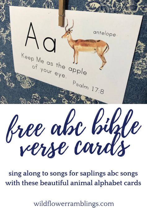 ABC Animal Bible Verse Cards: Songs for Saplings - Wildflower Ramblings Toddler Bible Lessons, Abc Bible Verses, Bible Homeschool, Toddler Bible, Verses For Kids, Bible Cards, Verse Cards, Abc Songs, Preschool Bible