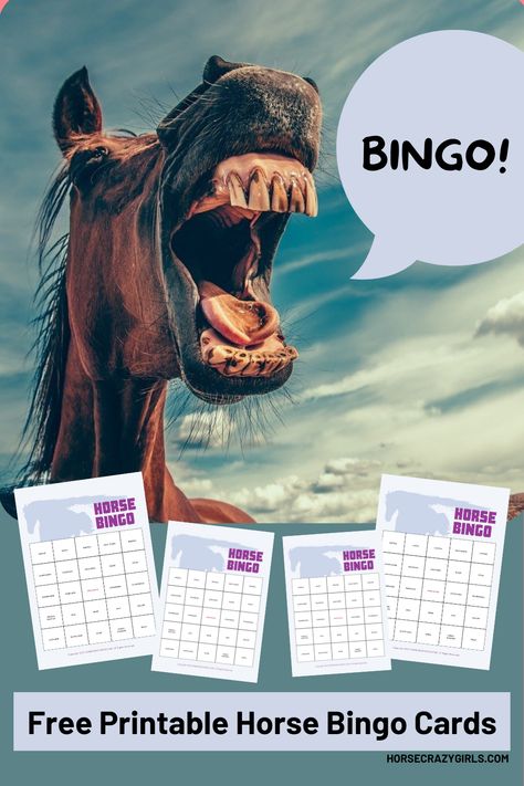 Download our free printable horse bingo cards! Horse Bingo Printable Free, Horse Bingo, Horse Games For Kids, Horse Summer Camp Ideas, Pony Camp Activities, Horse Camp Activities, Horse Birthday Party Games, Horse Camp Crafts, Horse Crafts Kids